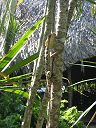 IMG_0580.JPG