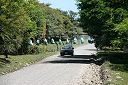 IMG_3345.JPG