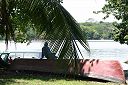 IMG_3377.JPG
