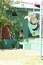 IMG_3383.JPG