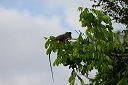IMG_3504.JPG