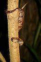 IMG_3677.JPG