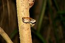 IMG_3684.JPG