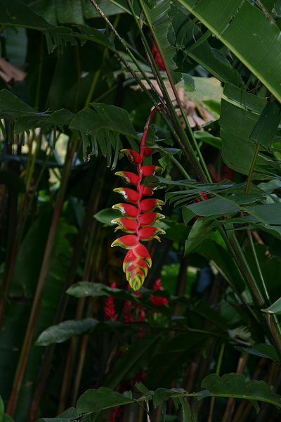 IMG_3727.JPG