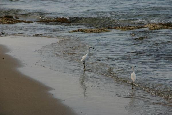 IMG_3758.JPG