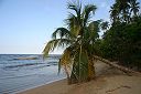 IMG_3750.JPG