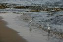 IMG_3758.JPG