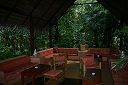 IMG_3878.JPG