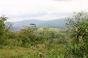 IMG_3951.JPG