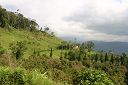 IMG_3957.JPG