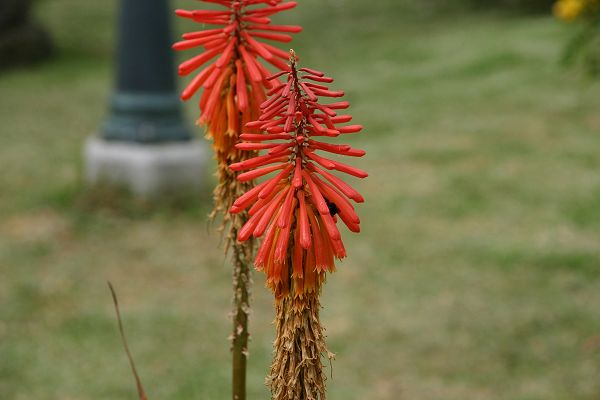 IMG_4087.JPG