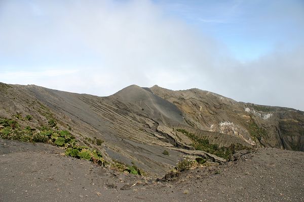 IMG_4003.JPG