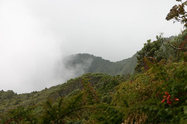 IMG_4017.JPG
