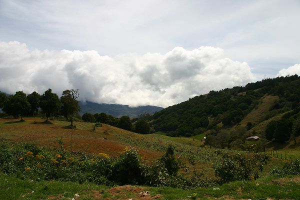 IMG_4058.JPG