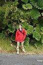 IMG_4013.JPG
