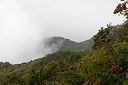 IMG_4017.JPG