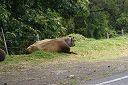 IMG_4032.JPG
