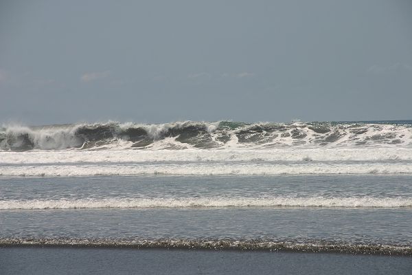 IMG_4306.JPG