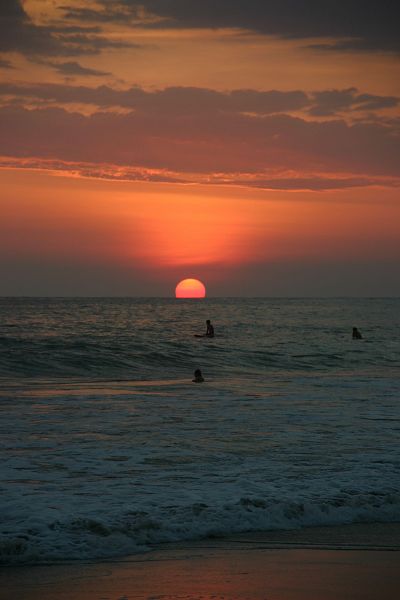 IMG_4433.JPG