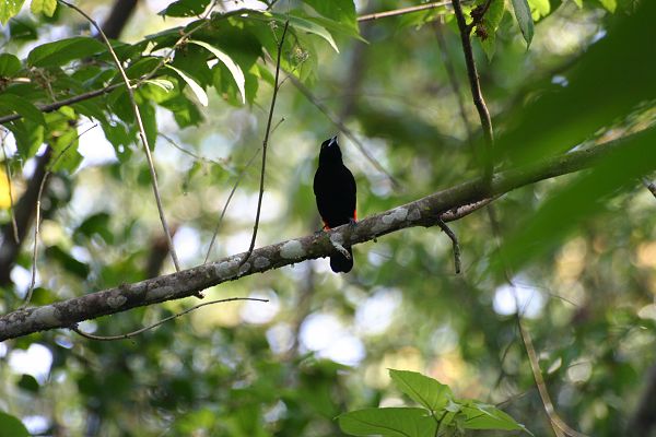 IMG_4518.JPG
