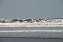 IMG_4306.JPG