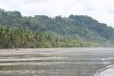 IMG_4311.JPG