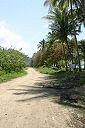 IMG_4312.JPG