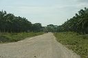 IMG_4342.JPG