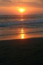 IMG_4421.JPG