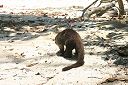 IMG_4501.JPG