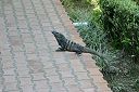 IMG_4514