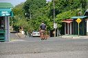 IMG_4580.JPG