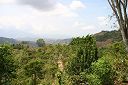 IMG_4596.JPG