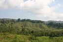 IMG_4708.JPG