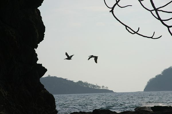 IMG_4784.JPG