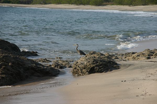 IMG_4787.JPG