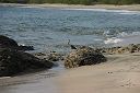 IMG_4787.JPG