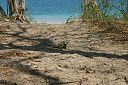 IMG_4843