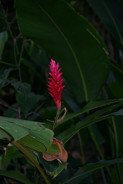 IMG_3447.JPG