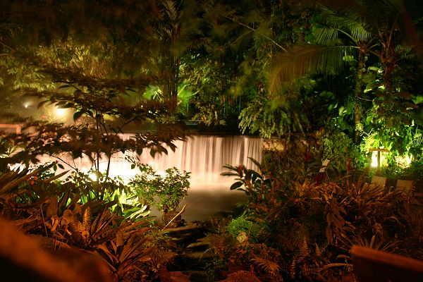 IMG_4648.JPG