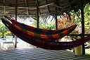IMG_3663.JPG