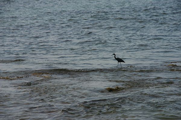 IMG_3760.JPG