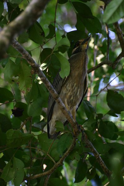 IMG_4467.JPG