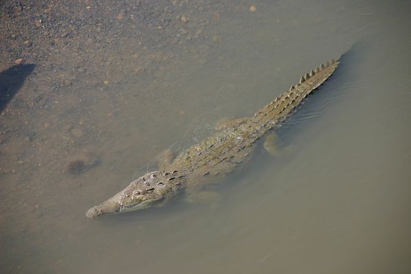 IMG_4556.JPG