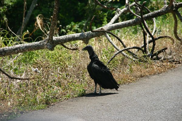 IMG_4758.JPG