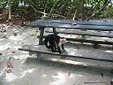 IMG_0611.JPG