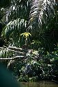 IMG_3366.JPG