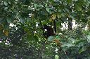 IMG_3520.JPG
