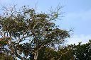 IMG_3527.JPG