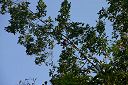 IMG_3553.JPG